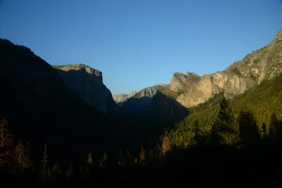 DSC_2469 (Large).JPG